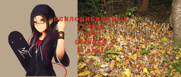 марихуана Новодвинск