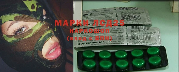 Альфа ПВП Новозыбков