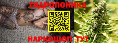 дурь Заводоуковск