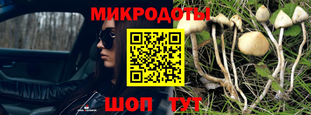Галлюциногенные грибы прущие грибы  купить наркотики цена  Лосино-Петровский  Вход с VPN 