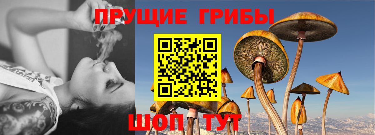 Галлюциногенные грибы Cubensis Лосино-Петровский
