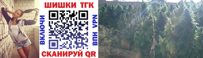 даркнет клад мега онион Лосино-Петровский Канабис семена